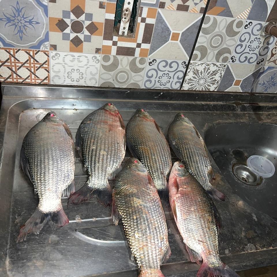 SnapInsta.to_469591713_1741455833316621_5507511049544630042_n